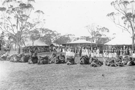 Sheiks, Fakes & Cameleers: Exhibition Launch and Panel Conversation, 25 ...