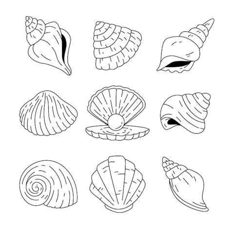 Image result for Shell Outline Printable