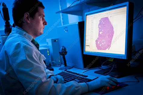 Image result for Scientist Using Computer