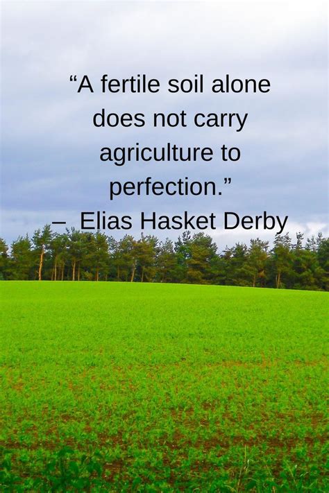 Agriculture Quotes 的图像结果