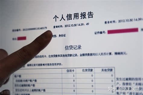 最新版人民银行个人征信报告样本-可更改DOCX模板下载_个人_图客巴巴