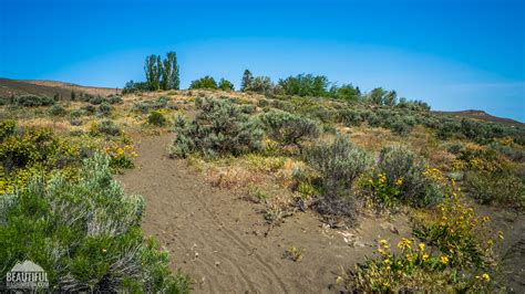 Wanapum State Park Campground