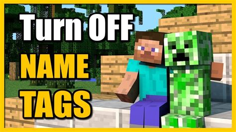 Image result for How to Turn Off Player Names in Minecraft Java