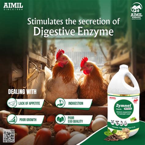 Aimil Animal Health Keeps your Pets Healthy & Agile – AIMILVETS