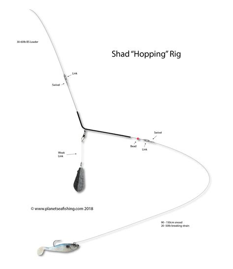 How to Tie a Shad Rig or Hopping Rig | Planet Sea Fishing