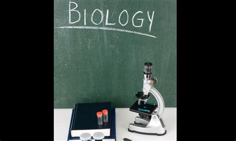 NEET UG 2024 Syllabus Updated: Here's What Changed In Biology