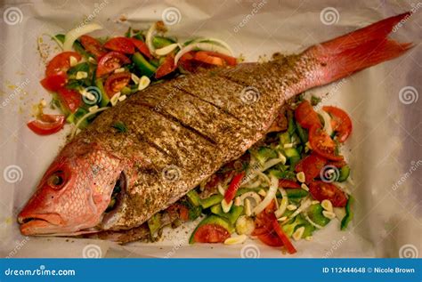 Image result for Snapper Fish Papercraft