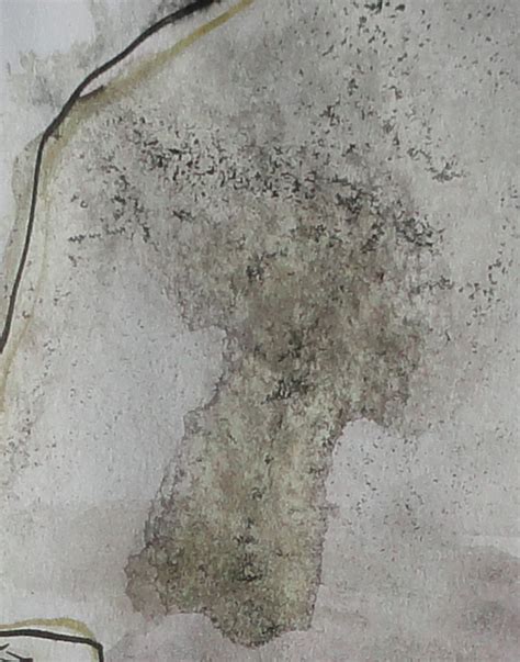 Image result for Intersubjective Drawing