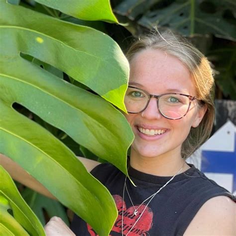 How to care for fuchsias in a hanging basket: top tips | Homes and Gardens