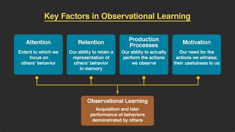 Image result for Observational Learning Theory