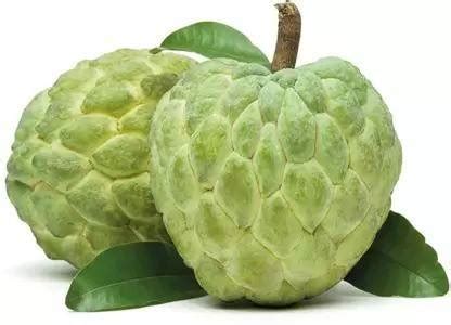 Aro Custard Apple, sitafal, sitaphal Seed Price in India - Buy Aro ...