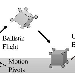 Image result for Hopping Ladder