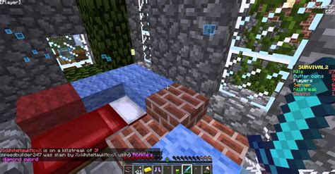 Image result for ESP Minecraft Hack