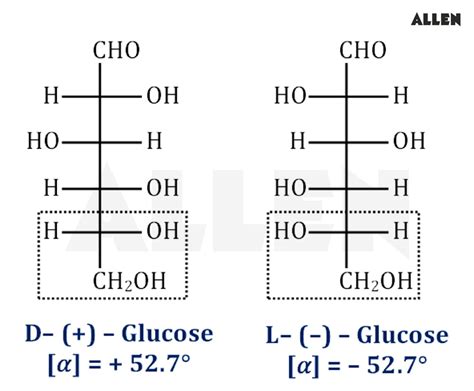 Glucose Structure Linear The Number Of Stereocenters Present In Linear
