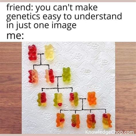 Genetics 的图像结果