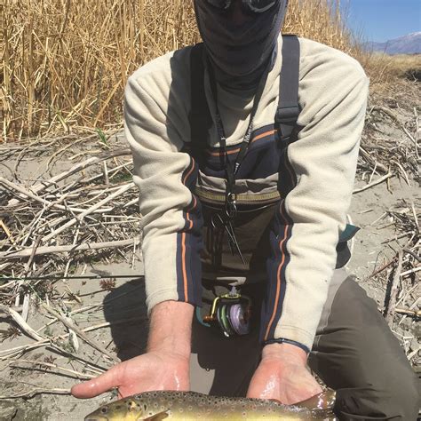 SIERRA TROUT MAGNET (2026) All You Need to Know BEFORE You Go (with ...