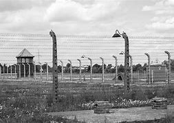 Image result for Russian Prisoner of War Camps WW2
