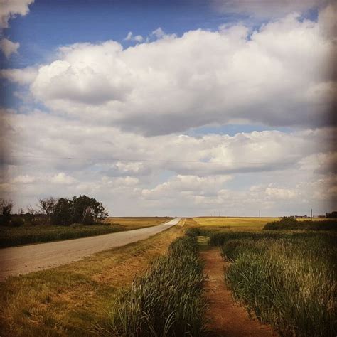 Country Road 的图像结果