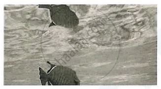 State the Conditions Required for Total Internal Reflection of Light to ...