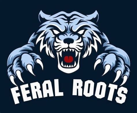 Feral Roots @ The Steamer, Fleetwood, The Steamer Fleetwood, 2 December ...