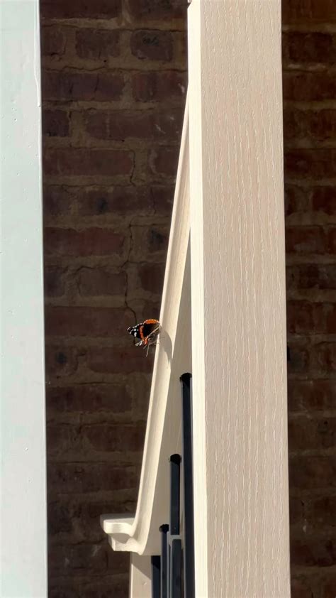 Alpine Flooring LLC | Flooring Company in Somerville Family Owned ...