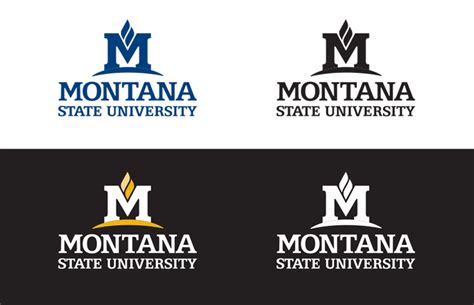 Logo use guide - Marketing | Montana State University