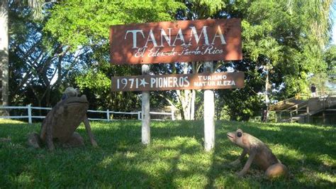 Tanama Cave Tubing Day Tours (Utuado) - 2021 What to Know Before You Go ...
