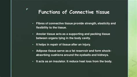 Connective Tissue Function 的图像结果