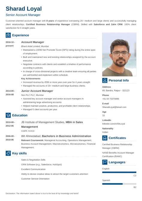 18+ Professional CV Templates: Curriculum Vitae to Download