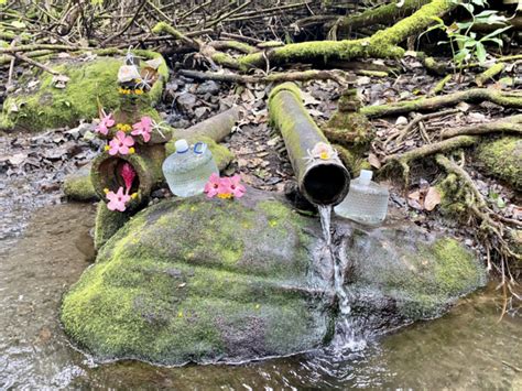 Image result for Types of Water Spring Facts