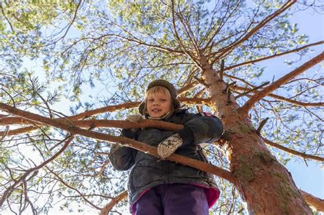 Washing Tree Activities 的图像结果