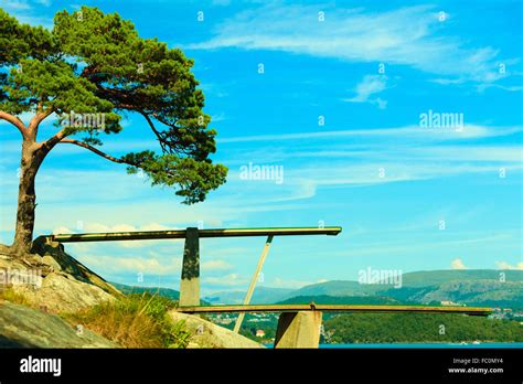 Image result for Springboard Diving Board