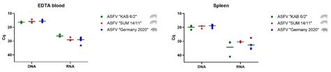 The Role of Male Reproductive Organs in the Transmission of African ...