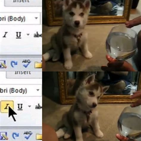 Kawaii Meme Song 的图像结果