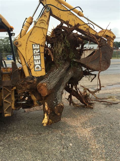 Image result for Tree Remval Tractor