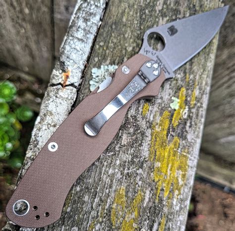 Spyderco C81GPBN15V2 Paramilitary 2 15V Brown G10 -SPRINT RUN- || WE BE ...