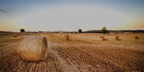 Mandan, ND Funeral Home & Cremation | Dawise-Perry Funeral Services