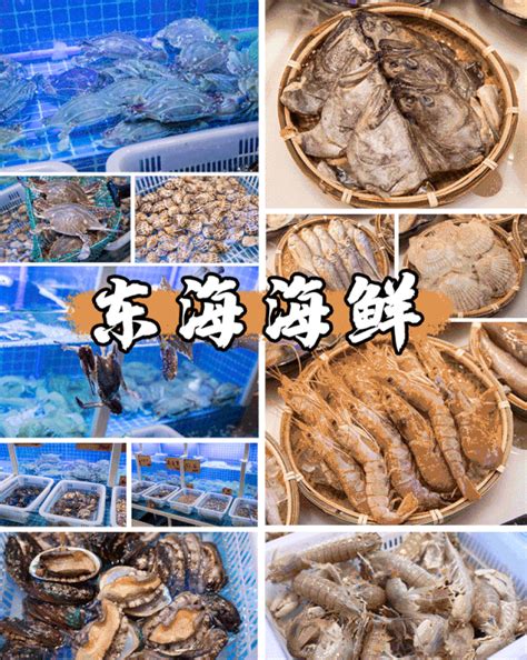 每日象山渔场直供！从宁波来的【焗海鲜】专门户，只卖东海一口鲜货！|海鲜|象山_新浪新闻