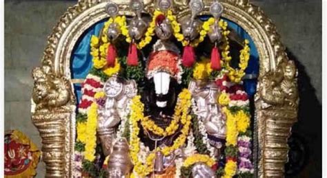 புரட்டாசியில் பெருமாளுக்கு நேர்த்திக்கடன் | purattaasi - hindutamil.in