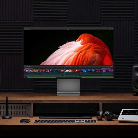 Best Monitor for Mac Studio - Our 5 Picks | The WiredShopper
