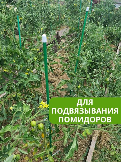 Колышки садовые для подвязывания растений, помидор, колышки садовые ...