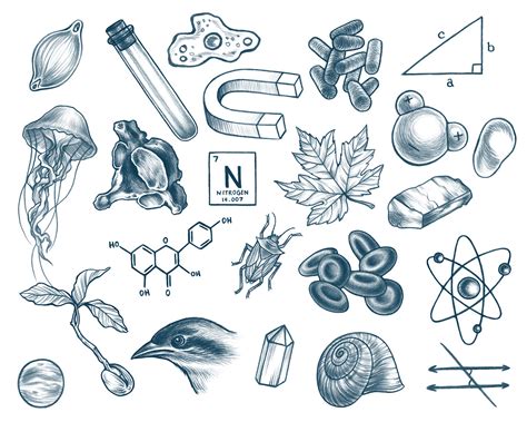 Science Drawing 的图像结果