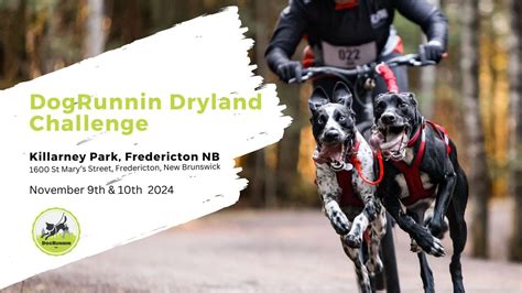 DogRunnin Dryland Challenge, Killarney Lake Park, Fredericton, 9 ...