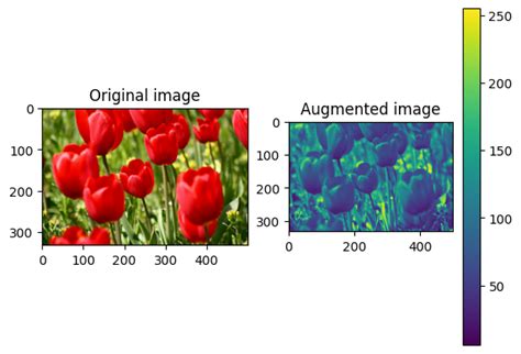Image result for Data Augmentation Tensorflow