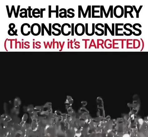 Water Has Memory
