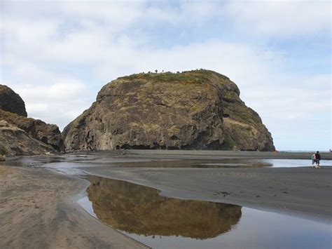 Whatipu Beach (Auckland Central) - 2020 What to Know Before You Go ...