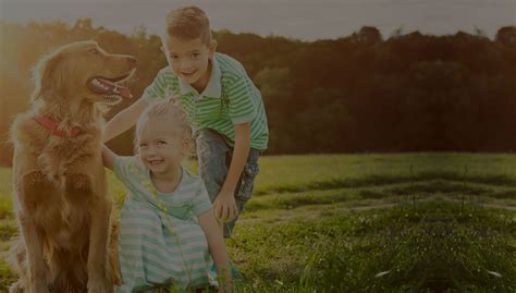 Hampden Veterinary Hospital