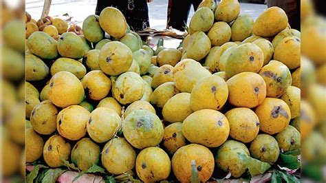 Jamaisasthi 2023 | জামাইষষ্ঠীতে জামাইকে সেধে আম খাওয়াচ্ছেন? সাবধান ...