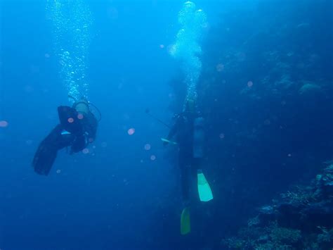 SILVERSWIFT (2026) All You Need to Know BEFORE You Go (with Photos ...