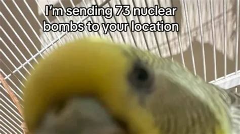 Image result for Codex Built in Script Hub